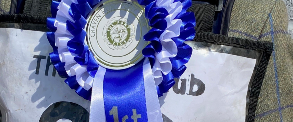 Craven Pony Club Show